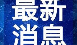 金莎最新爆料新闻视频下载,娱乐圈幕后真相大曝光