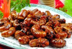 最新新康饭菜爆料图片,最新爆料图片曝光，美味与营养并存！”