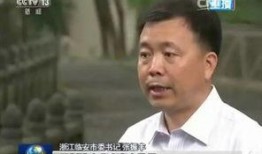 临安央视爆料事件最新,真相揭开，舆论漩涡中的正义较量