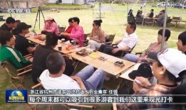 临安央视爆料事件最新,真相揭开，舆论漩涡中的正义较量