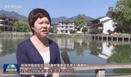 临安央视爆料事件最新,真相揭开，舆论漩涡中的正义较量