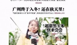 平安哥最新爆料新闻,最新爆料新闻背后的惊人真相