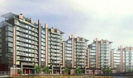 楼市爆料西安最新消息