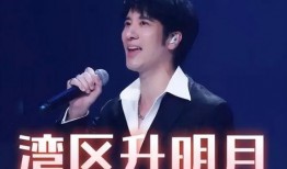 爆料王力宏视频最新一期,揭秘娱乐圈不为人知的秘密