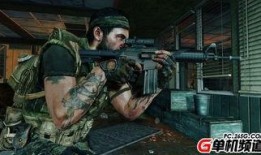 使命最新红装爆料,最新红装爆料，揭秘战场新势力