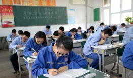 蓉江新区学生爆料事件最新,真相揭开，校园安全引关注